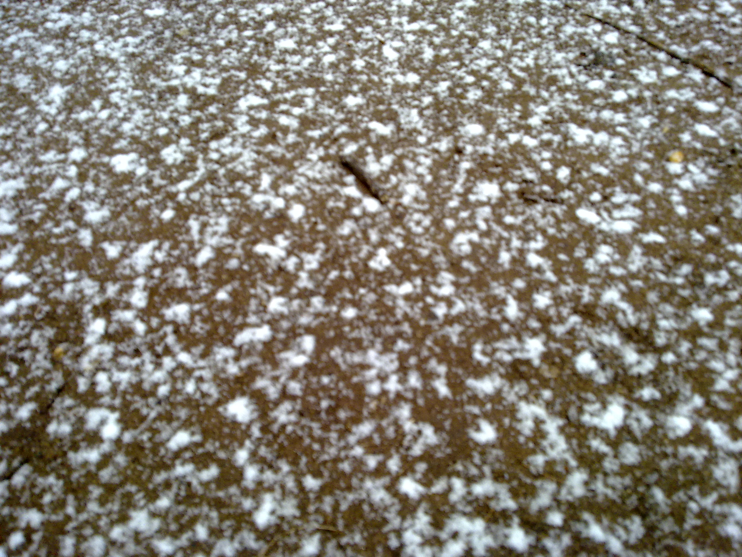 fotos/2010-07-18 - Nevada  y carneada/18072010508.jpg